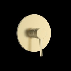 GINI- ΜΠΑΤΑΡΙΑ ΛΟΥΤΡΟΥ ΕΝΤΟΙΧΙΣΜΟΥ ONE FUNCTION BRUSH GOLD