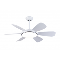 ΑΝΕΜΙΣΤΗΡΑΣ ΟΡΟΦΗΣ DC ΜΕ ΦΩΣ 42" 6 ΦΤΕΡΑ MFC-42631 MORRIS